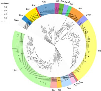 Genome-wide identification of Reverse Transcriptase domains of recently inserted endogenous plant pararetrovirus (Caulimoviridae)